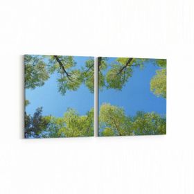 Olla 10602K2Y Ağaç Görseli Kare 2 Parça Yatay 65x30 cm Kanvas Tablo