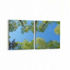 Olla 10602K2Y Ağaç Görseli Kare 2 Parça Yatay 65x30 cm Kanvas Tablo