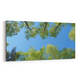 Olla 10602YD Ağaç Görseli Yatay Dar 60x30 cm Kanvas Tablo