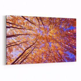 Olla 10606Y Ağaç Görseli Yatay 30x20 cm Kanvas Tablo