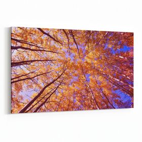 Olla 10606Y Ağaç Görseli Yatay 30x20 cm Kanvas Tablo