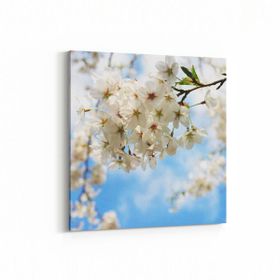 Olla 10612K Ağaç Görseli Kare 25x25 cm Kanvas Tablo
