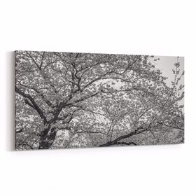 Olla 10620YD Ağaç Görseli Yatay Dar 60x30 cm Kanvas Tablo