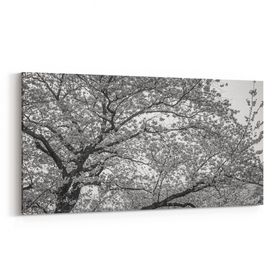 Olla 10620YD Ağaç Görseli Yatay Dar 60x30 cm Kanvas Tablo
