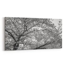 Olla 10620YD Ağaç Görseli Yatay Dar 60x30 cm Kanvas Tablo