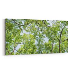 Olla 10624YD Ağaç Görseli Yatay Dar 60x30 cm Kanvas Tablo