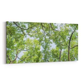 Olla 10624YD Ağaç Görseli Yatay Dar 60x30 cm Kanvas Tablo