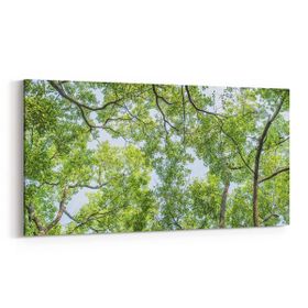 Olla 10624YD Ağaç Görseli Yatay Dar 60x30 cm Kanvas Tablo