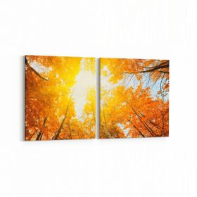 Olla 10631K2Y Ağaç Görseli Kare 2 Parça Yatay 65x30 cm Kanvas Tablo