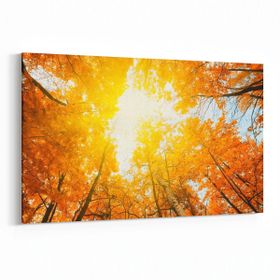 Olla 10631Y Ağaç Görseli Yatay 30x20 cm Kanvas Tablo