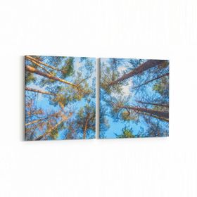Olla 10642K2Y Ağaç Görseli Kare 2 Parça Yatay 65x30 cm Kanvas Tablo