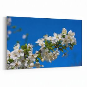 Olla 10644Y Ağaç Görseli Yatay 30x20 cm Kanvas Tablo