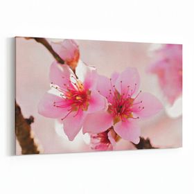 Olla 10649Y Ağaç Görseli Yatay 30x20 cm Kanvas Tablo