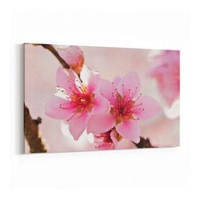 Olla 10649Y Ağaç Görseli Yatay 30x20 cm Kanvas Tablo