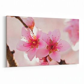 Olla 10649Y Ağaç Görseli Yatay 30x20 cm Kanvas Tablo