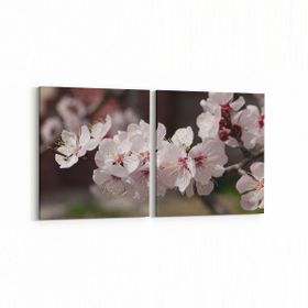 Olla 10665K2Y Ağaç Görseli Kare 2 Parça Yatay 65x30 cm Kanvas Tablo