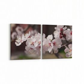 Olla 10665K2Y Ağaç Görseli Kare 2 Parça Yatay 65x30 cm Kanvas Tablo