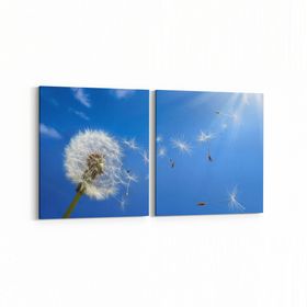 Olla 10666K2Y Ağaç Görseli Kare 2 Parça Yatay 65x30 cm Kanvas Tablo