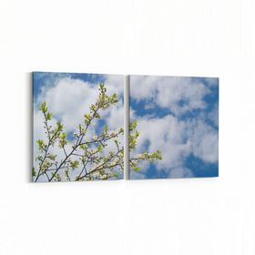 Olla 10669K2Y Ağaç Görseli Kare 2 Parça Yatay 65x30 cm Kanvas Tablo