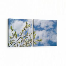 Olla 10669K2Y Ağaç Görseli Kare 2 Parça Yatay 65x30 cm Kanvas Tablo