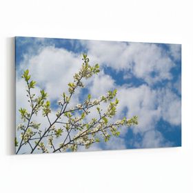Olla 10669Y Ağaç Görseli Yatay 30x20 cm Kanvas Tablo