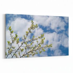 Olla 10669Y Ağaç Görseli Yatay 30x20 cm Kanvas Tablo