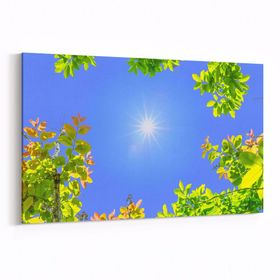 Olla 10671Y Ağaç Görseli Yatay 30x20 cm Kanvas Tablo