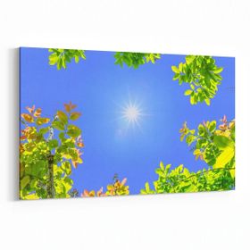 Olla 10671Y Ağaç Görseli Yatay 30x20 cm Kanvas Tablo