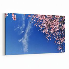 Olla 10674Y Ağaç Görseli Yatay 30x20 cm Kanvas Tablo