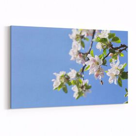 Olla 10676Y Ağaç Görseli Yatay 30x20 cm Kanvas Tablo