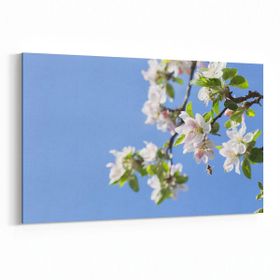 Olla 10676Y Ağaç Görseli Yatay 30x20 cm Kanvas Tablo