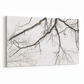 Olla 10691Y Ağaç Görseli Yatay 30x20 cm Kanvas Tablo