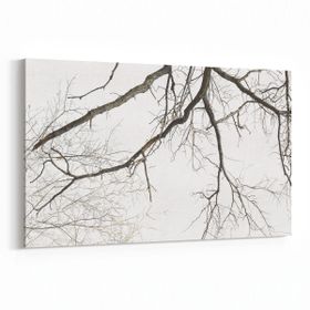 Olla 10691Y Ağaç Görseli Yatay 30x20 cm Kanvas Tablo