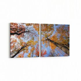Olla 10692K2Y Ağaç Görseli Kare 2 Parça Yatay 65x30 cm Kanvas Tablo