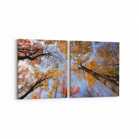 Olla 10692K2Y Ağaç Görseli Kare 2 Parça Yatay 65x30 cm Kanvas Tablo