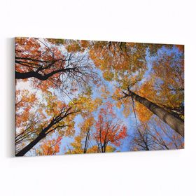 Olla 10692Y Ağaç Görseli Yatay 30x20 cm Kanvas Tablo
