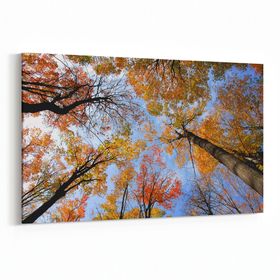 Olla 10692Y Ağaç Görseli Yatay 30x20 cm Kanvas Tablo
