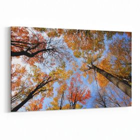 Olla 10692Y Ağaç Görseli Yatay 30x20 cm Kanvas Tablo