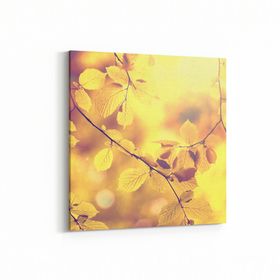 Olla 10694K Ağaç Görseli Kare 25x25 cm Kanvas Tablo