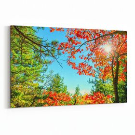 Olla 10698Y Ağaç Görseli Yatay 30x20 cm Kanvas Tablo