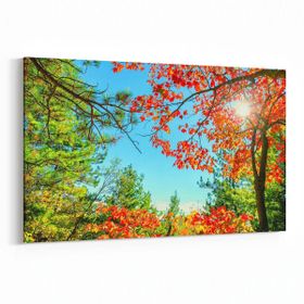 Olla 10698Y Ağaç Görseli Yatay 30x20 cm Kanvas Tablo