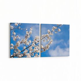 Olla 10700K2Y Ağaç Görseli Kare 2 Parça Yatay 65x30 cm Kanvas Tablo
