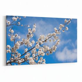 Olla 10700Y Ağaç Görseli Yatay 30x20 cm Kanvas Tablo