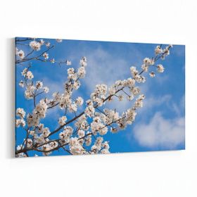 Olla 10700Y Ağaç Görseli Yatay 30x20 cm Kanvas Tablo