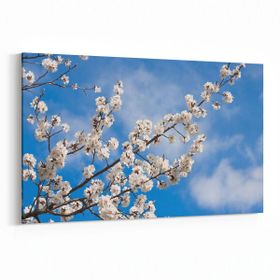 Olla 10700Y Ağaç Görseli Yatay 30x20 cm Kanvas Tablo