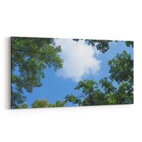 Olla 10701YD Ağaç Görseli Yatay Dar 60x30 cm Kanvas Tablo