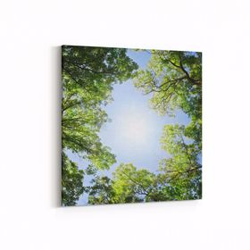 Olla 10702K Ağaç Görseli Kare 25x25 cm Kanvas Tablo