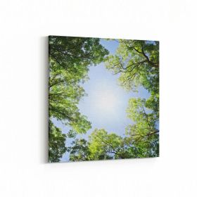 Olla 10702K Ağaç Görseli Kare 25x25 cm Kanvas Tablo
