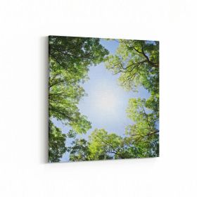 Olla 10702K Ağaç Görseli Kare 25x25 cm Kanvas Tablo