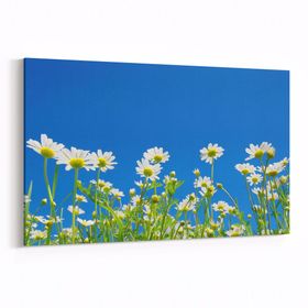 Olla 10712Y Ağaç Görseli Yatay 30x20 cm Kanvas Tablo